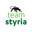 team styria Zeichen