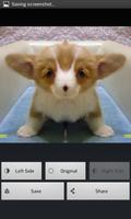 Bisymmetry - make funny photo скриншот 3