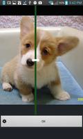 Bisymmetry - make funny photo скриншот 1