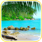 Tropical Beach Video Wallpaper-icoon