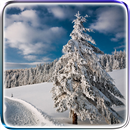Winter Video Live Wallpaper APK