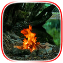 Bonfire Video Wallpaper APK