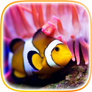 Ikan Badut Gambar Animasi APK