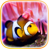 Clownfish Live Wallpaper आइकन