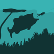 Toad Time Bass Fishing