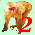 Monkey Hunt2 icon