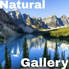 Natural Gallery - For Life آئیکن