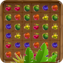 Flora Match - (Forest Fruits) APK