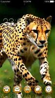 Wild Cheetah  Animal Theme HD Affiche