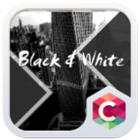 Black White Theme icône