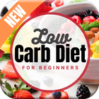 Simple Low Carb Diet for Weight Loss Plan icône