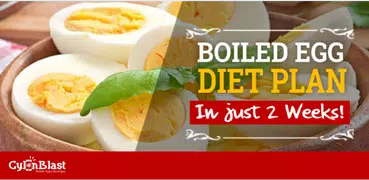 Best Boiled Egg Diet Plan