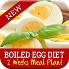 Best Boiled Egg Diet Plan آئیکن