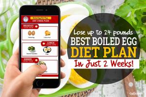 Best Boiled Egg Diet Plan ภาพหน้าจอ 3