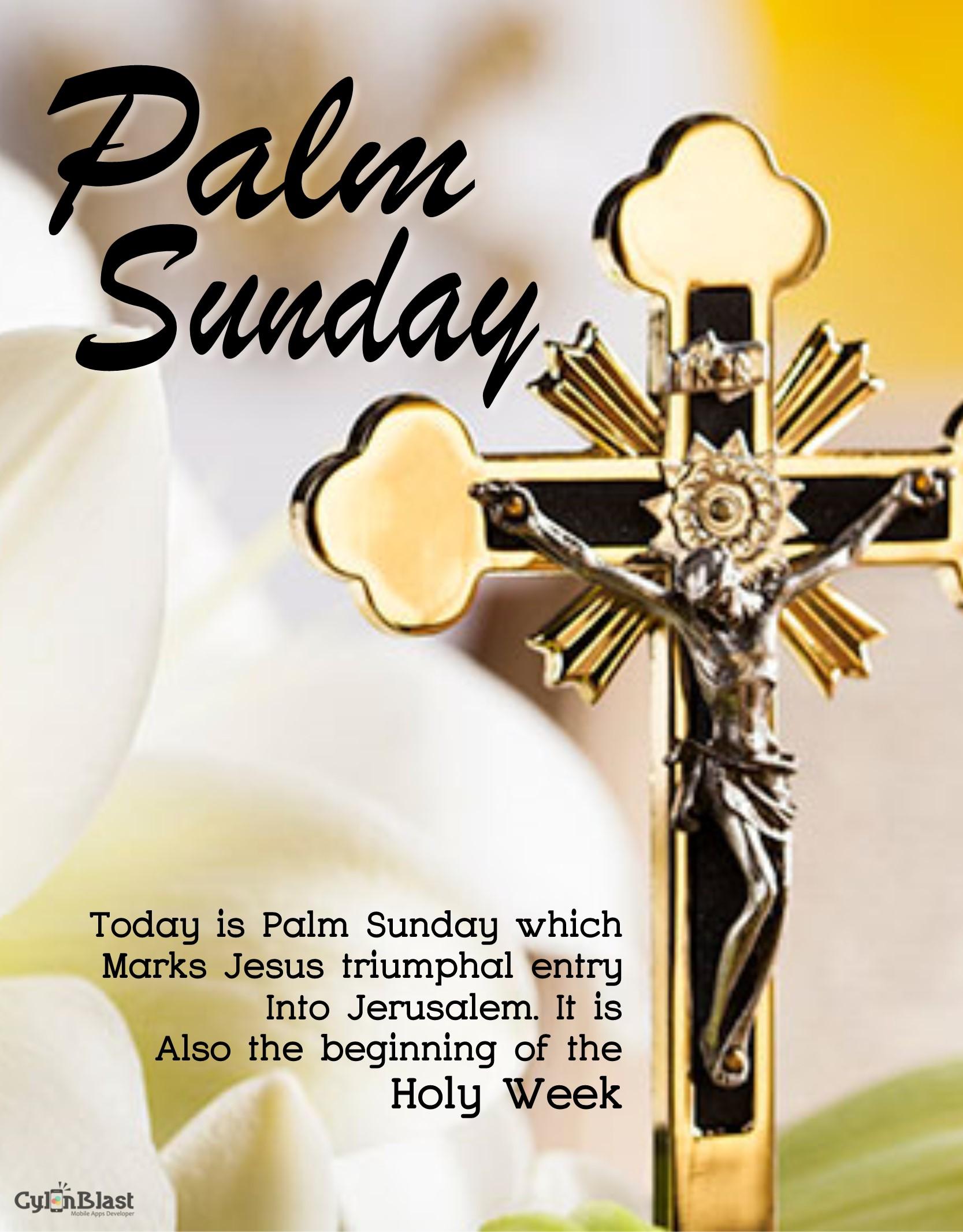 Palm Sunday Quotes Wishes For Android Apk Download