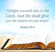 Bible Verses captura de pantalla 3
