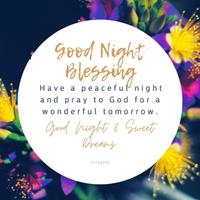 Good Night Blessing 截图 1