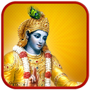Bhagavad Gita Hindi & Quotes APK