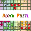 Block Puzzle Game with Fruits