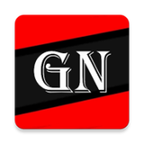 APK Constitution de Guinée