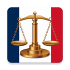 Constitution française 1958 icône