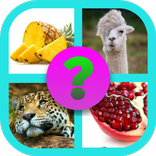 Kelime Oyunu - Resim Bulmaca