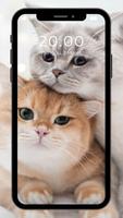 2 Schermata Wallpaper Kucing Lucu