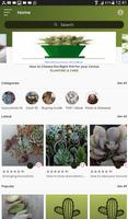 Cactus and Succulent Plants poster