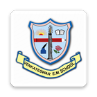 VEMS Four icon