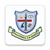 VEMS Four icon