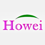 PT Howei