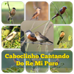 Caboclinho Cantando Do Re Mi