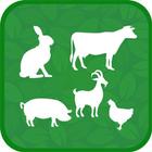 MyFarm أيقونة
