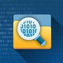 Bin File Viewer and Editor APK