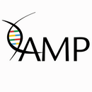 AMP Meetings APK