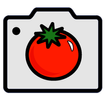 Ingredian: Scan Food Labels
