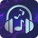 Radio Seagull Harlingen Stream APK