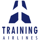 Training Airlines ไอคอน
