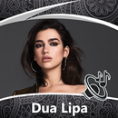 Dua Lipa Songs - Offline Music (Lyrics) APK