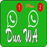 Cara Pakai 2 WA Satu Hp
