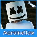 Marshmello, Ariana Grande, Miley Cyrus (mp3)