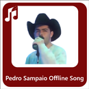 Pedro Sampaio Populer Song APK