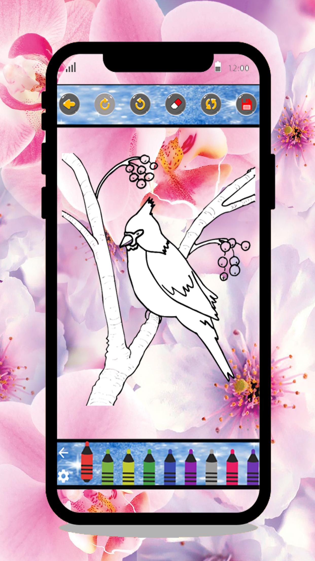 Скачать Birds Coloring Book & Drawing - Easy Drawing APK для Android