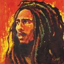 Frases de Bob Marley - GRÁTIS aplikacja