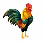 Rooster Sound Crowing icon