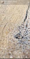 Calm - Rain Sounds - Sleep and Relax تصوير الشاشة 3