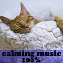 calming music for cats APK