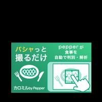 カロミル for Pepper スクリーンショット 1