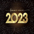 Bonne Année