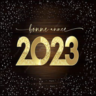 Bonne Année icono
